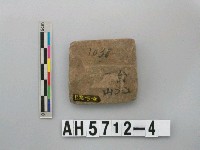 藏品(磨製有段石錛)的圖片